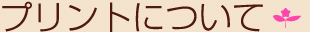 _ˁ@BANGBOOO vgɂ